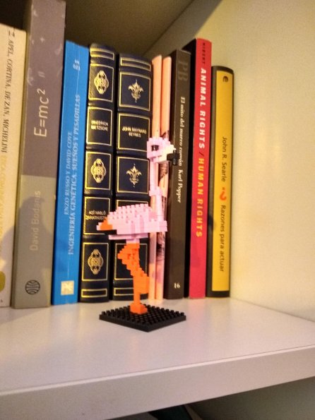 Pink Flamingo